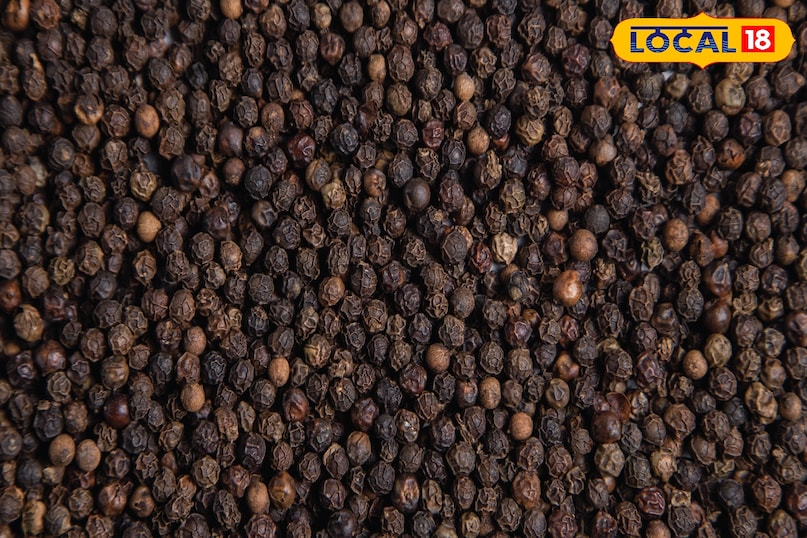 नकली काली मिर्च की पोल ऐसे खोलें: घर बैठे 5 पक्के टेस्ट