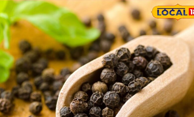 नकली काली मिर्च पहचानने के 5 आसान तरीके 5 Easy Ways to Identify Fake Black Pepper at Home