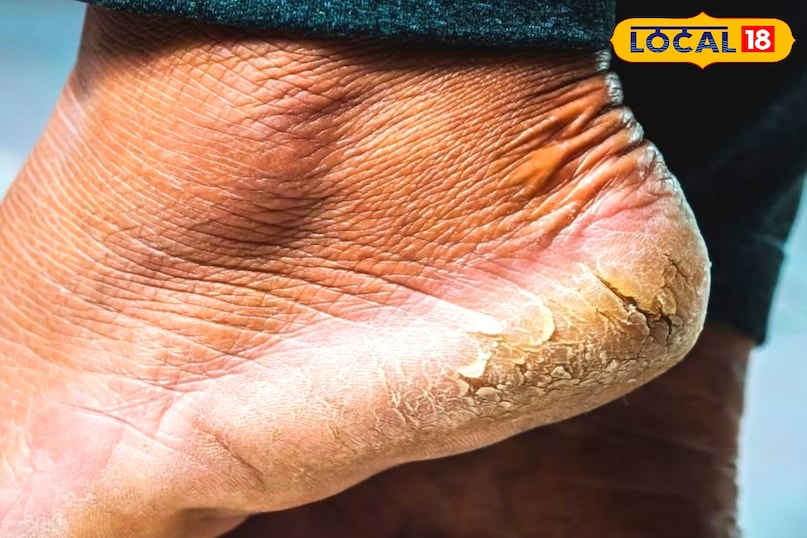 टिप्स एंड ट्रिक्स टिप्स एंड ट्रिक्स