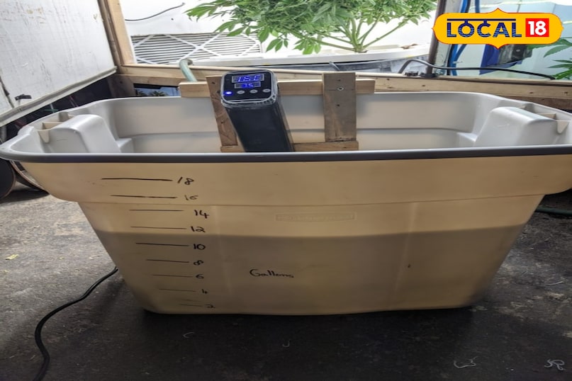 पोषक घोल तैयार करना टंकी में पानी भरकर उसमें हाइड्रोपोनिक्स के लिए बने विशेष पोषक तत्वों का पाउडर मिलाए। इस बात का ध्यान रखिए कि पानी का pH स्तर 5.5 से 6.5 के बीच रहे।