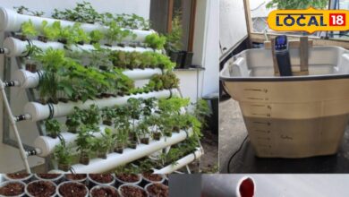 Hydroponics Farming | Hydroponics Benefits | Hydroponics Agriculture Tips | Low Water Farming