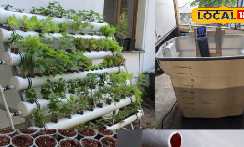 Hydroponics Farming | Hydroponics Benefits | Hydroponics Agriculture Tips | Low Water Farming