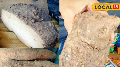 सर्दियों में कुछ ही दिन बाजार में नजर आती है यह सब्जी, सेहत के लिए है पावरहाउस, जानें क्यों है खास