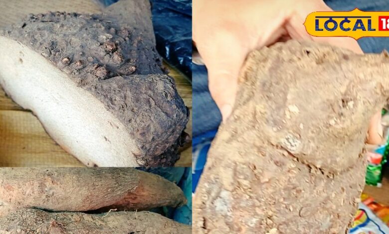 सर्दियों में कुछ ही दिन बाजार में नजर आती है यह सब्जी, सेहत के लिए है पावरहाउस, जानें क्यों है खास