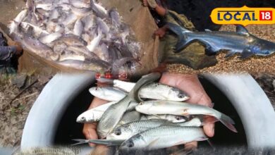 Fish Farming Profitable Species | Best Fish for Aquaculture | Machhli Palan Profit | Fish Farming Beginners Guide