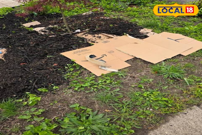 मिट्टी बनती है अच्छी कार्डबोर्ड सड़कर मिट्टी में कार्बन और पोषक तत्व मिलाता है, जिससे मिट्टी उपजाऊ बनती है। यह मिट्टी की नमी को बरकरार रखता है जिससे पौधों और मिट्टी के अच्छे कीड़ों (जैसे केंचुए) को फायदा मिलता है।