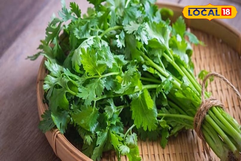 किचन गार्डन 