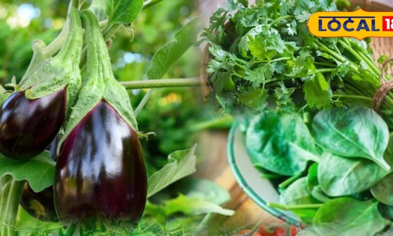 Mini Kitchen Farm Ideas | Balcony Vegetable Gardening | Small Space Farming Tips | Urban Gardening India | Grow Vegetables in Flats