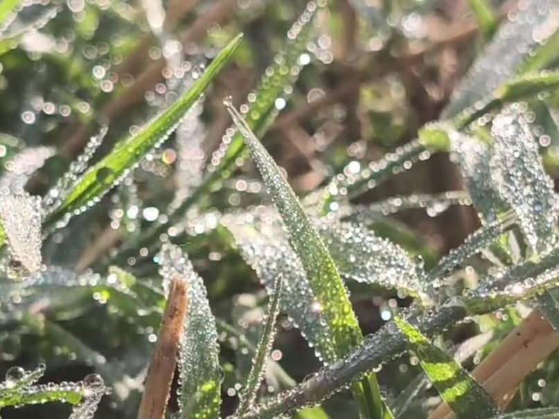 सीकर में सर्दी की बढ़ती मार: न्यूनतम तापमान 2.5 डिग्री दर्ज