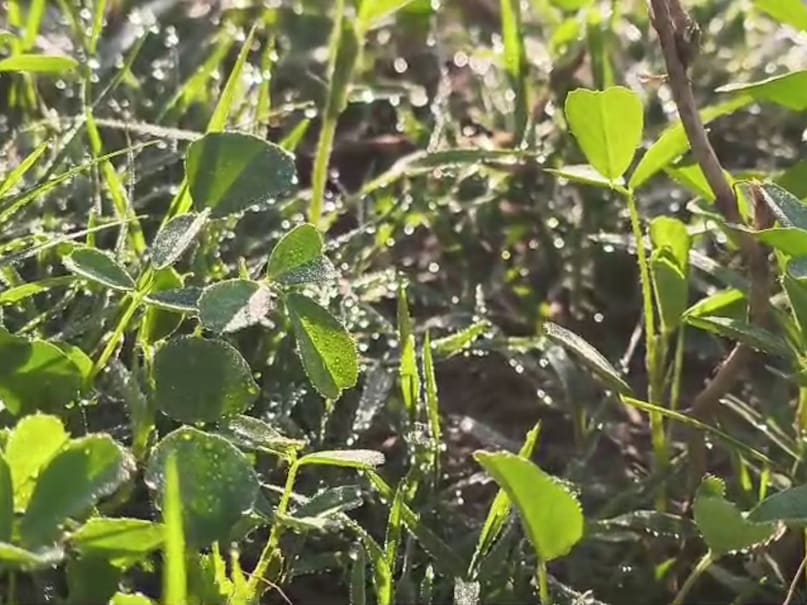 सीकर में सर्दी की बढ़ती मार: न्यूनतम तापमान 2.5 डिग्री दर्ज