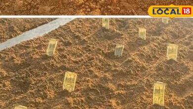 किसान का अनोखा विरोध, फसल बीमा क्लेम नहीं मिलने पर खेत में बो दिए 500-500 के नोट, सोशल मीडिया पर वायरल हो रहा वीडियो