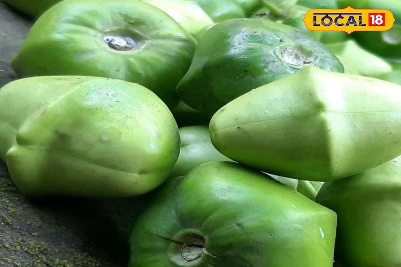 कनेर का फल 