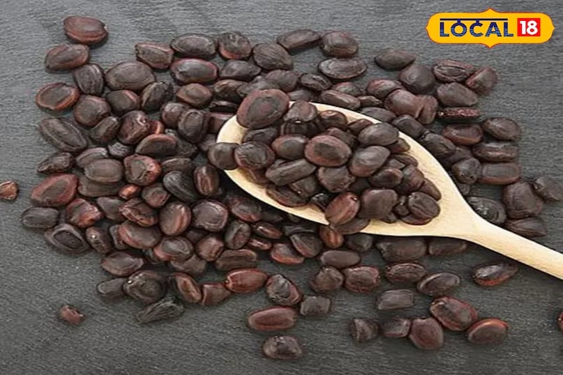 इमली के बीज इमली के बीज