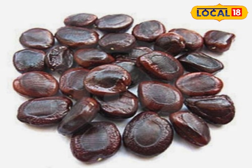 इमली के बीज इमली के बीज