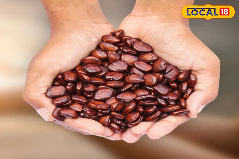 इमली के बीज इमली के बीज