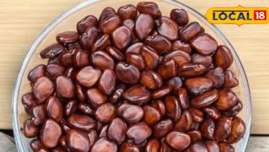 कचरा नहीं नैचुरल गोल्ड है इमली बीज, करोड़ों की कमाई का है जरिया, इस वजह से औद्योगिक क्षेत्र में है डिमांड