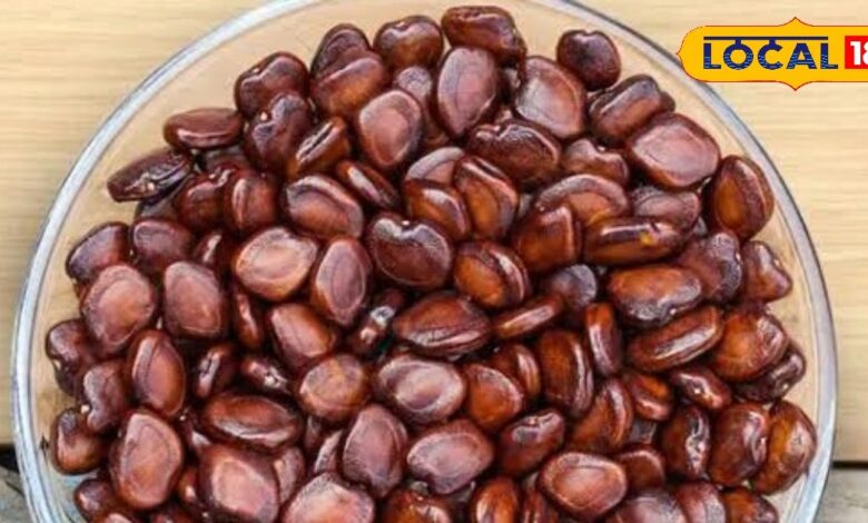 कचरा नहीं नैचुरल गोल्ड है इमली बीज, करोड़ों की कमाई का है जरिया, इस वजह से औद्योगिक क्षेत्र में है डिमांड