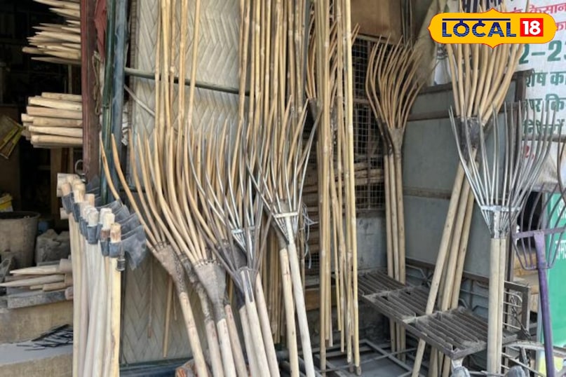 जेली या जई 