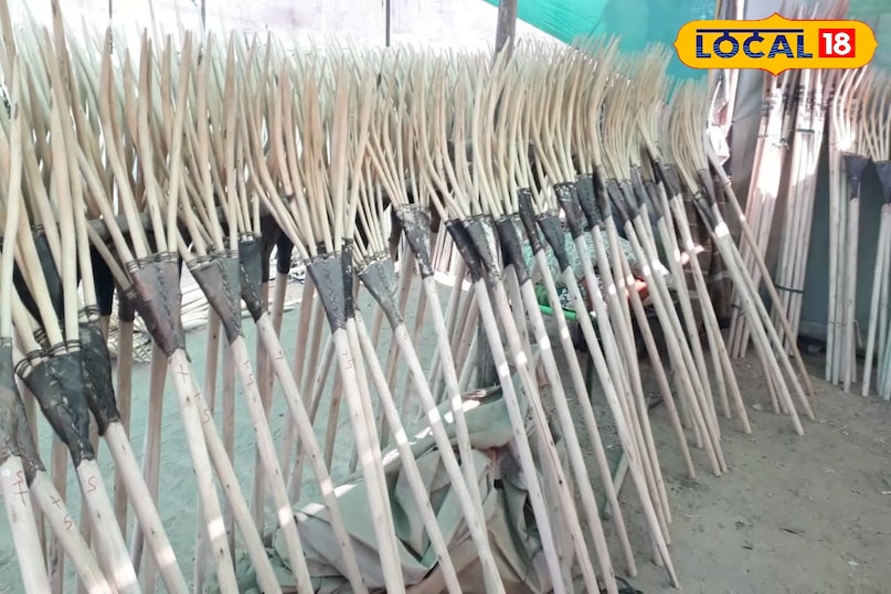 जेली या जई 