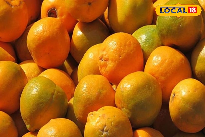 इसके संतरे खराब व खट्टे होते है इसके संतरे खराब व खट्टे होते है