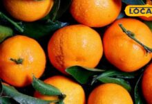 Tips And Tricks: संतरा खट्टा है या मीठा, कैसे करें पहचान? बाजार में फल चुनने के लिए अपनाएं ये आसान टिप्स