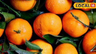 Tips And Tricks: संतरा खट्टा है या मीठा, कैसे करें पहचान? बाजार में फल चुनने के लिए अपनाएं ये आसान टिप्स