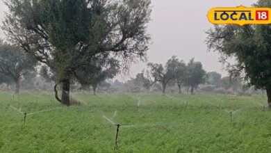 मथानिया के किसानों को फव्वारा पद्धति से फायदा | Sprinkler Irrigation Benefits for Farmers in Mathania