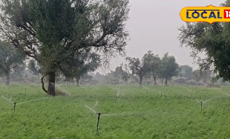 मथानिया के किसानों को फव्वारा पद्धति से फायदा | Sprinkler Irrigation Benefits for Farmers in Mathania