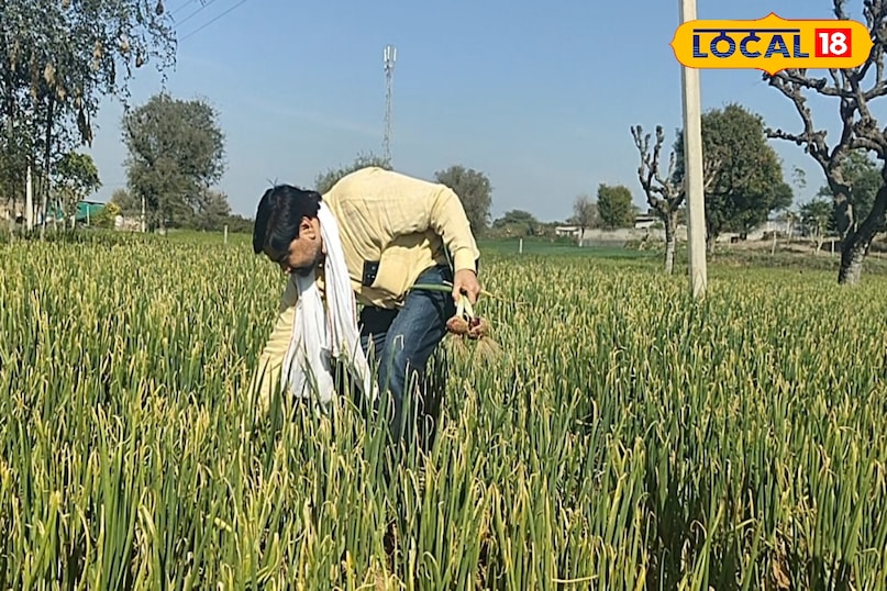 किसानों को लोन 