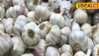 Lahsun Recipes | Garlic Cooking Tips | Easy Garlic Dishes | Healthy Garlic Recipes