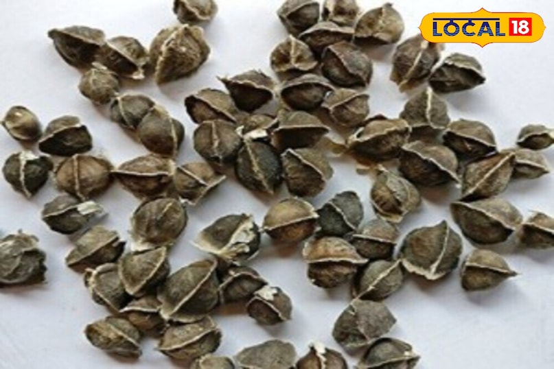 आंवले का बीज 