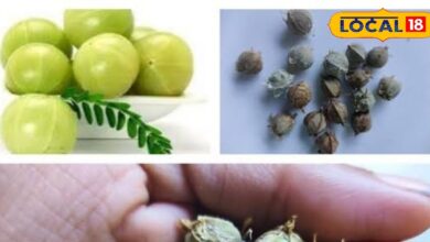 Amla Seed Benefits | Awala Beej Health Tips | Amla Seed Nutrition | Amla Beej Ka Fayda | Superfood Amla Seed