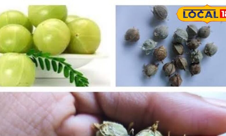 Amla Seed Benefits | Awala Beej Health Tips | Amla Seed Nutrition | Amla Beej Ka Fayda | Superfood Amla Seed