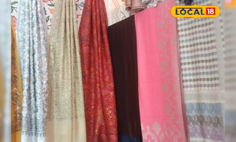 5 हजार से 10 लाख तक... कश्मीर की पहचान पश्मीना शॉल, इस टैग को देखे बिना ना खरीदें!