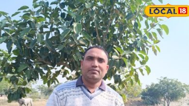 50 लाख खर्च कर 15400 पौधे लगाए! ये शिक्षक क्यों बन गए 'बरगद मेन'? राज जानकर आप भी हैरान रह जाएंगे