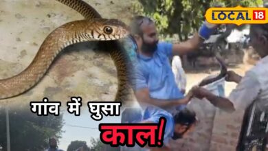 8 feet snake video | snake came out of the pipeline | huge snake in the village | Snake Rescue Video | Rajasthan News Snake