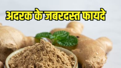 Adrak khane ke fayde: सर्दियों में अदरक खाने के फायदे और सेवन का तरीका
