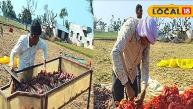 Agriculture News : किसानों और व्यापारियों के लिए खुशखबरी! फल-सब्जी यूनिट पर मिलेगी 50% सब्सिडी