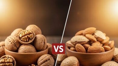 Almonds Vs Walnut: सर्दियों में शरीर को गर्म रखने के लिए अखरोट या बादाम में से कौन है ज्यादा फायदेमंद?, एक्सपर्ट्स से जानें सही जवाब!
