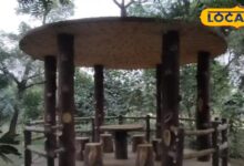 Alwar Green Lungs Park | Mungska Nursery Alwar | New Oxygen Zone Alwar | Alwar Parks 2025 | Tree Plantation Alwar