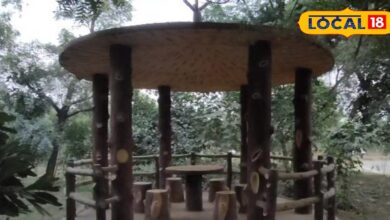 Alwar Green Lungs Park | Mungska Nursery Alwar | New Oxygen Zone Alwar | Alwar Parks 2025 | Tree Plantation Alwar