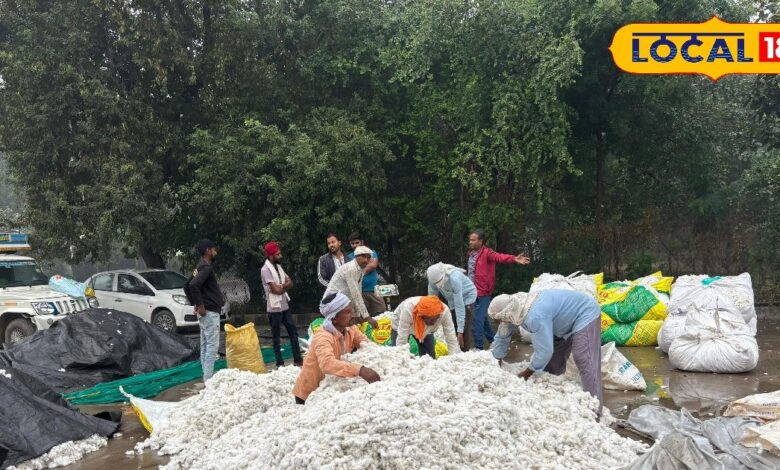 Alwar News:Alwar News: सरकार को सबसे ज्यादा टैक्स देने वाली खैरथल कृषि उपज मंडी में टीन शेड की कमी से किसानों की फसल खराब