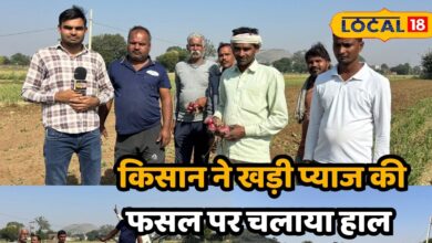 Alwar onion market | Onion price drop | Farmers protest Alwar | Bambora village crops