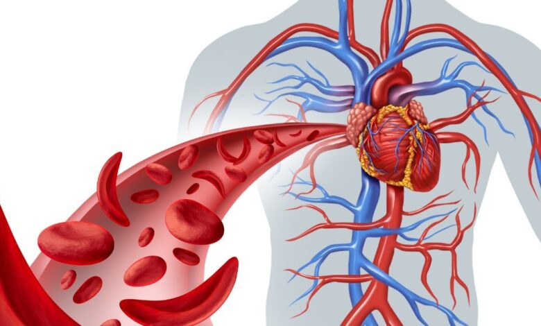 Anemia Symptoms and Natural Remedies | एनीमिया के लक्षण और घरेलू उपाय