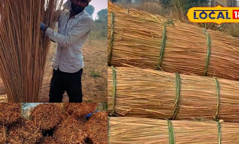 Bharatpur Weed Furniture | Desi Furniture Bharatpur | Hut Construction Material | Rural Income Bharatpur