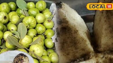 Bhuna Amrood Benefits, Roasted Guava Health Tips, Liver Detox Foods, Winter Superfood Amrood, Amrood Khane Ke Fayde, Bhuna Amrood Ayurveda Benefits