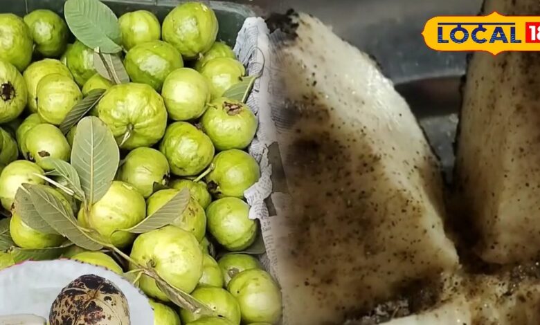 Bhuna Amrood Benefits, Roasted Guava Health Tips, Liver Detox Foods, Winter Superfood Amrood, Amrood Khane Ke Fayde, Bhuna Amrood Ayurveda Benefits