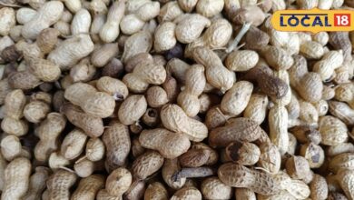 Bikaner Peanuts Demand Worldwide