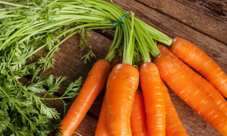 Carrot Benefits: सर्दियों में श्रद्धा कपूर खूब खाती हैं गाजर, शरीर को पहुंचाए ढेरों लाभ