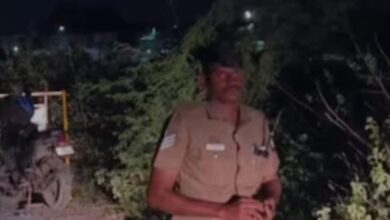 Coimbatore Gang Rape: कॉलेज स्टूडेंट से रेप करने वालों का एनकाउंटर, एक्टर विजय बोले- मेरा दिल कांप गया - Three Men Arrested In Coimbatore Gang Rape Case Shot While Trying To Escape